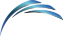 Bernardi Solutions